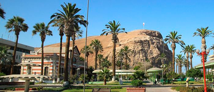 Arica