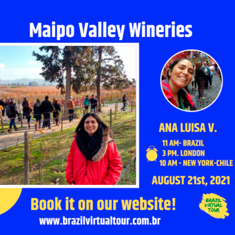 Maipo Valley Wineries